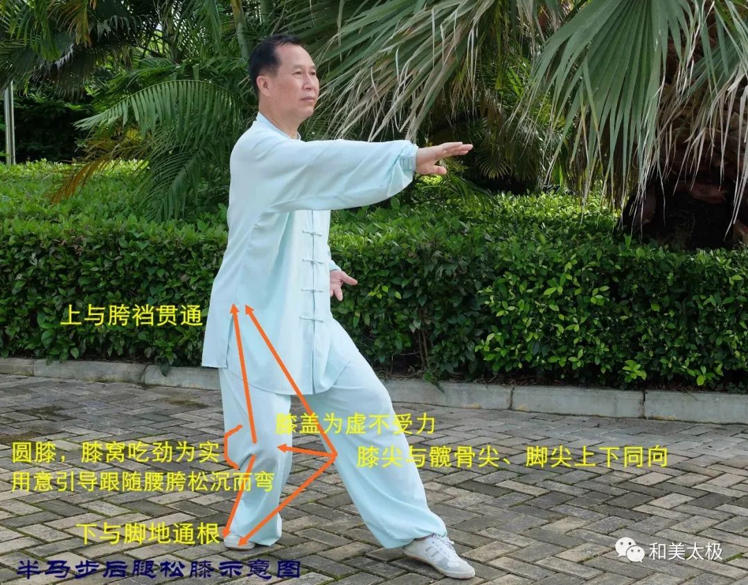 陈雄聊太极拳23在练功习拳中体悟松膝