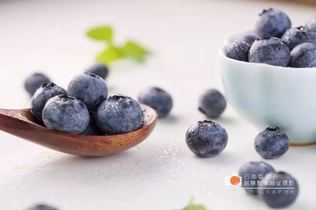 蓝哥哥果园的第一批蓝莓已经成熟给你舌尖留下果香四溢的美好记忆
