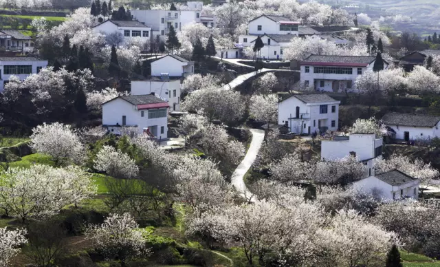 十堰 郧县樱桃沟