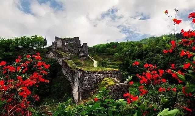 去遵义赏花吧!_搜狐旅游_搜狐网