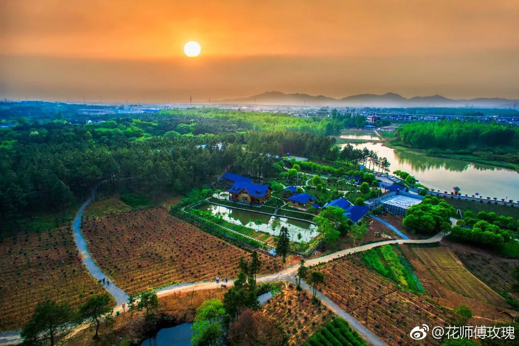位于溧水区石湫镇环山河畔的南京玫瑰园,已经花香四溢,争奇斗艳.