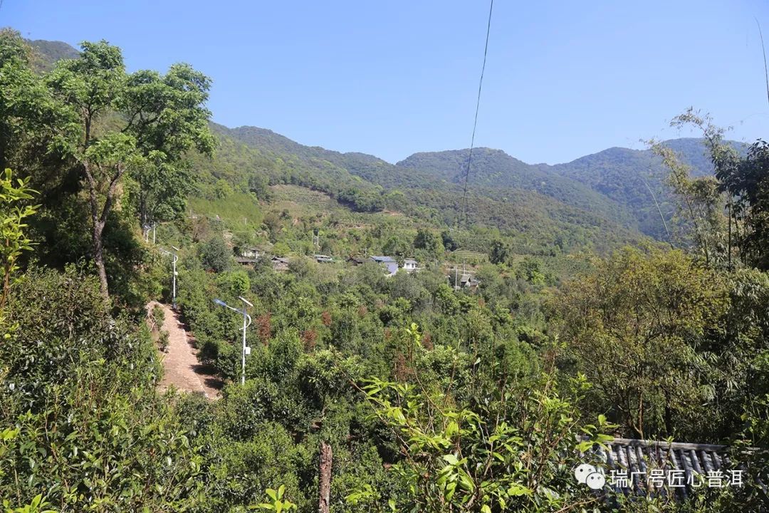 下一站茶山刘简谱_下一站茶山刘图片