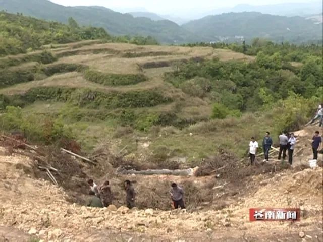 我县与福鼎市联合开展"青山白化"整治行动