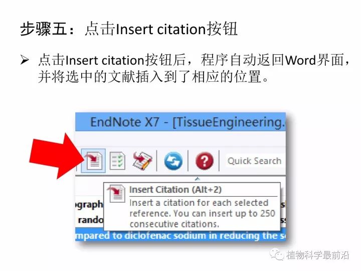 endnote x7 怎么用
