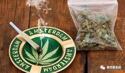 学生离毒品有多远美国吸食大麻最严重的10所大学