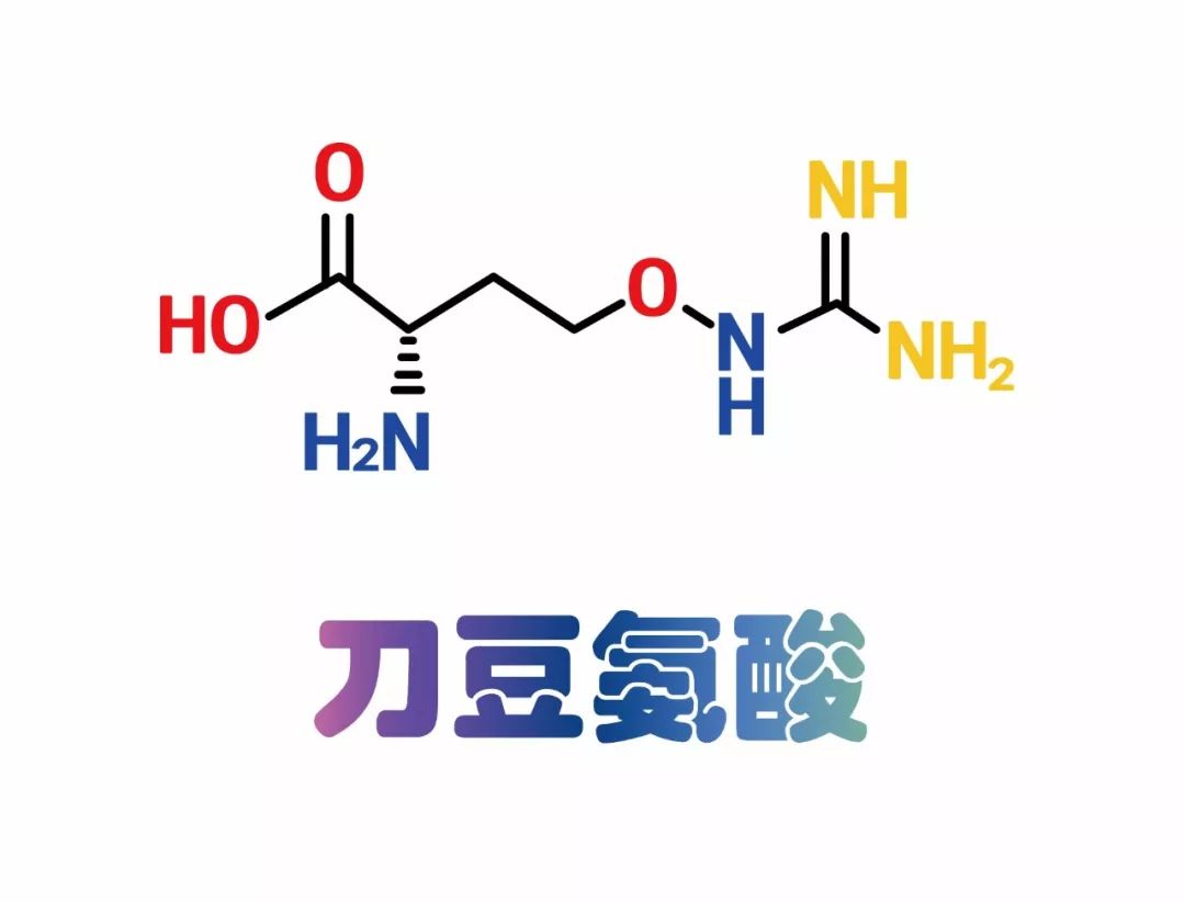 l-canavanine分类:非蛋白质氨基酸,植物游离氨基酸,碱性氨基酸别称