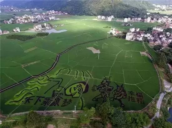 平乐村人口_南宁大沙田平乐村图片(2)