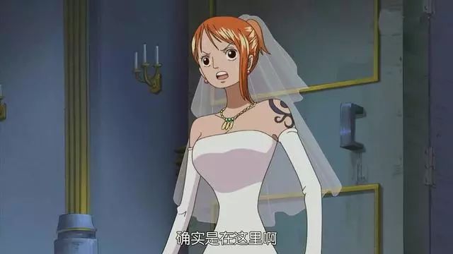 这件是透明果实要和娜美结婚时穿的.