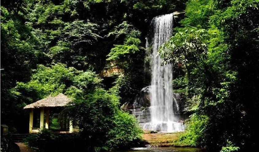 了四面山的核心景区洪海,景区内除了有洪海,还有望乡台,土地岩,珍珠湖