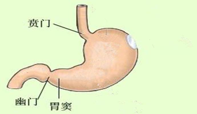 胃窦炎的危害不容小觑,胃窦炎饮食有什么禁忌?