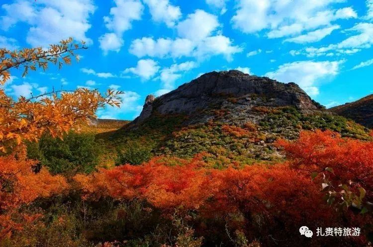 全域旅游 带你走进神山国家森林公园