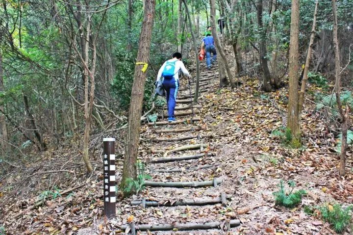 宁波12条登山步道最详细路线公布其中有一条长达11公里的步道来自余姚