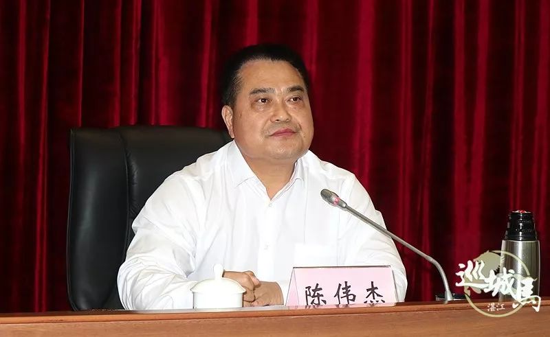 副市长陈伟杰讲话.