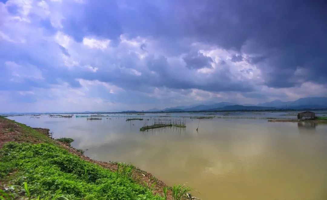 潼湖湿地公园惠州最大的湿地惠州学院是广东省省属公办综合性本科大学