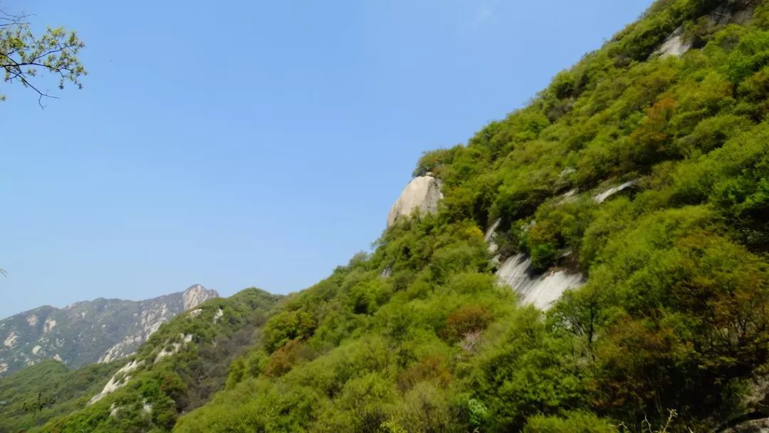 温浏乡花交村人口_温浏乡石葵村图片(3)