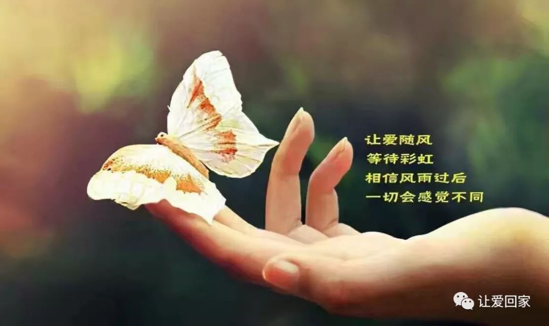 来源:极物(id: ijiwulife) " 拒绝低质量的社交,享受高质量的独处