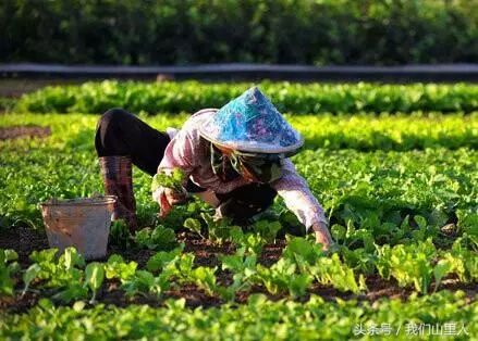 " 劳动最光荣 " 辛苦劳动的农民光荣吗 ?