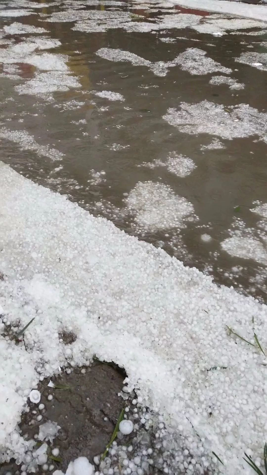 除了叙永县摩尼镇,古蔺县箭竹镇,德耀镇等地方都不同程度下起了冰雹