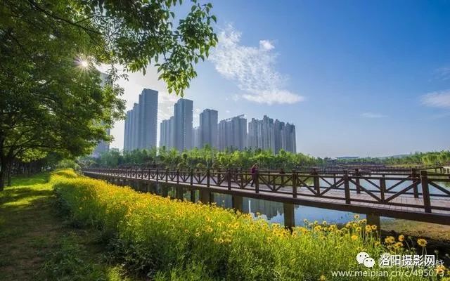 高楼湖水绿地相间洛阳城市中轴线上兴洛湖公园惊艳美景