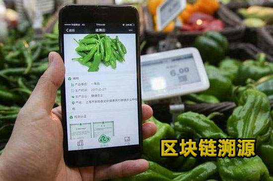 弈聪软件尹宏刚区块链溯源技术打造食品供应链完整流畅信息流