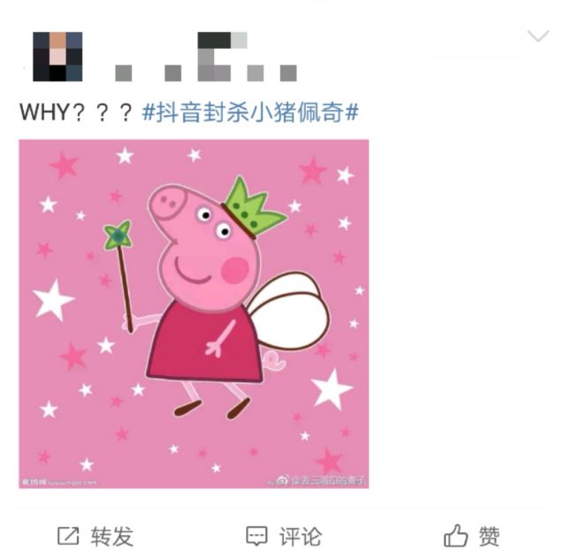 小猪佩奇被封杀?这只像吹风机的猪都经历了什么? | 青