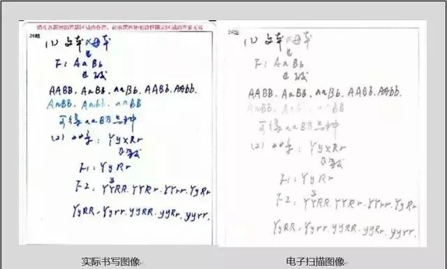 中考电脑阅卷"潜规则"!读完多得20分(转给孩子看看)