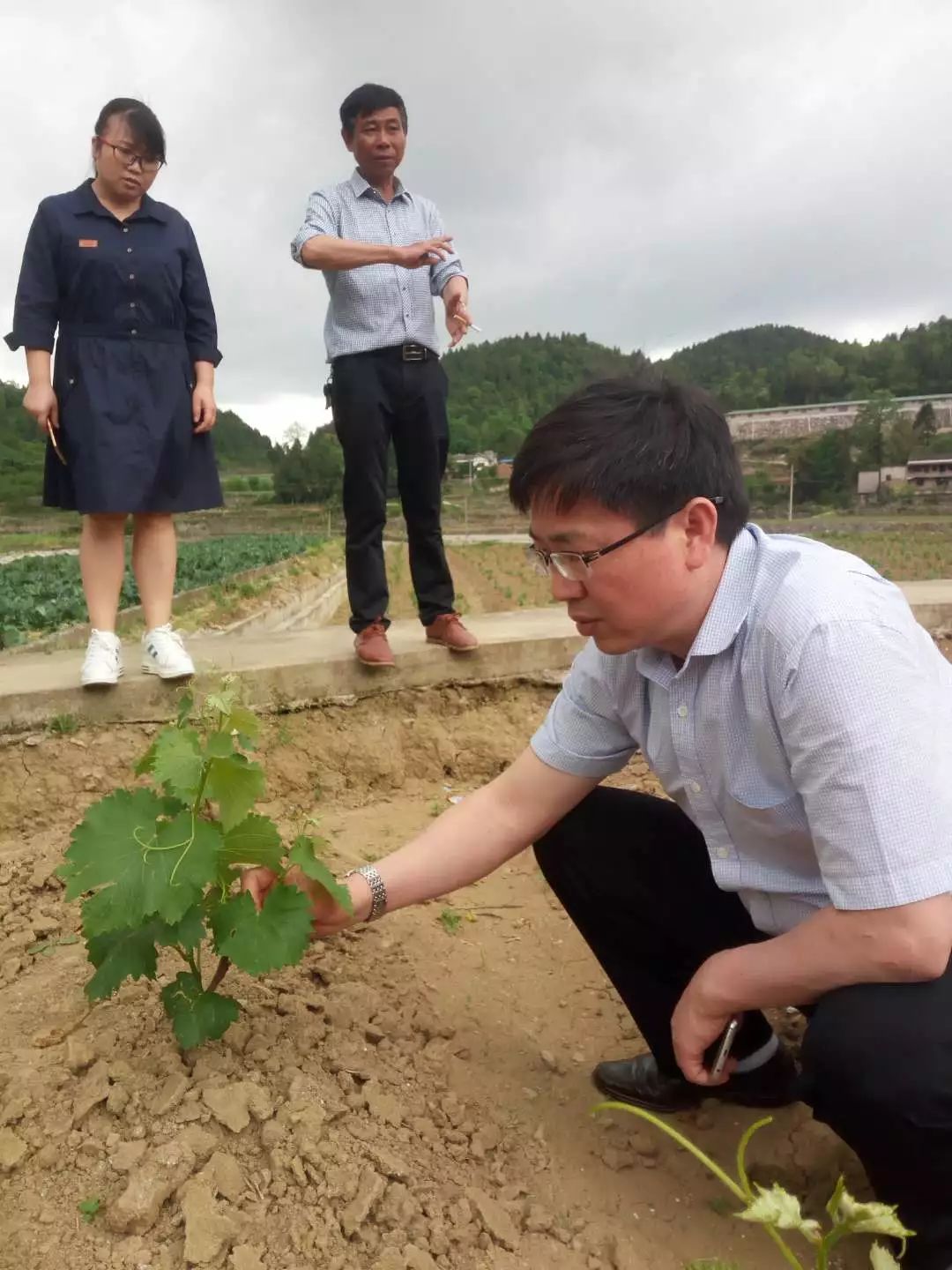 辛勤劳动,期待的丰收》17作者:罗胜谟《宣讲暖人心》18作者:黎正刚