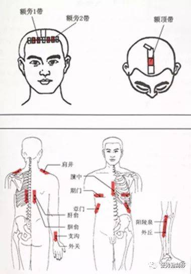 中脘上脘的准确位置图