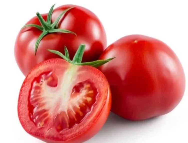 未成熟果实青红分明 一眼望去,是看得见的健康和安全 与普通西红柿