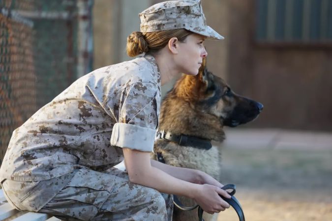 该片讲述了女主角梅根·利维与军犬瑞克斯相遇,相识并共赴战场产生了