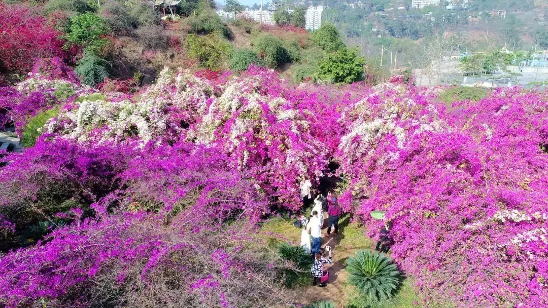 河门口公园"颜值"又将提升!3大板块,8大区域,简直美醉