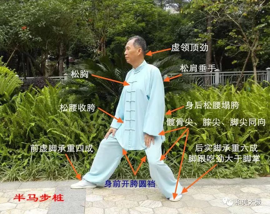 陈雄聊太极拳27杨氏太极拳门内传授的桩功练法