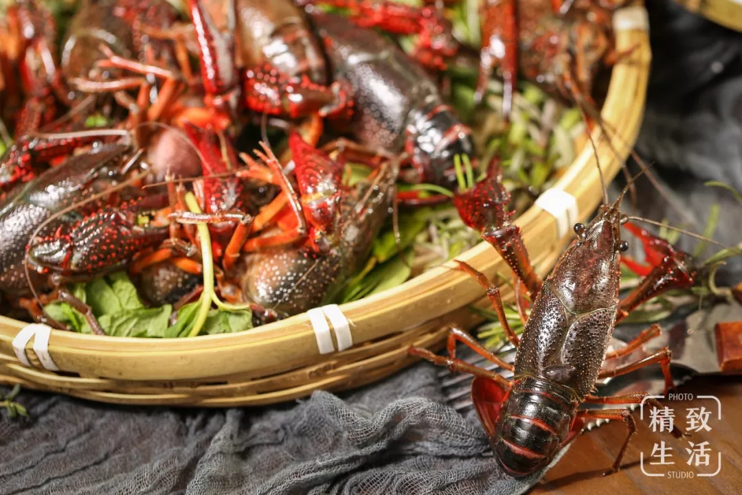 丨香草蒸虾龙虾 虾肉无比紧致厚实,吃起来弹牙爽口,嚼劲十足,非常带感