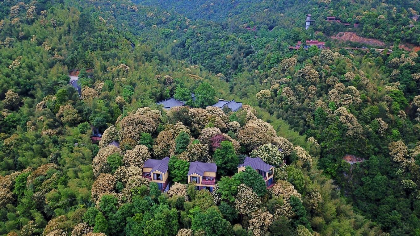 贤达广场最为醒目的景点就是依偎于丫山山涧腹地—龙鼎湖.