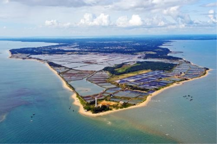 正文  起锚海上丝路,寻梦《牡丹亭》 本站赛事地点设在徐闻县南山镇