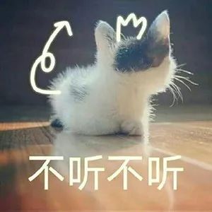 撒娇小猫咪表情包