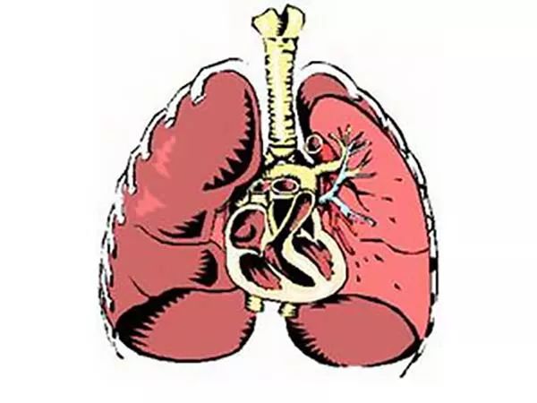"维系·深呼吸"特发性肺纤维化(ipf)患者援助项目启动,ipf患者可以