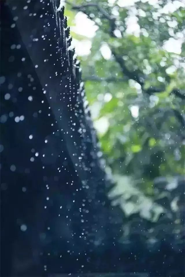 怎么拍出雨的意境?