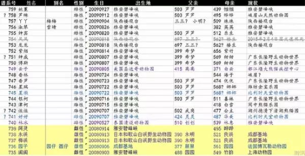 热心网友整理的民间版大熊猫谱系表