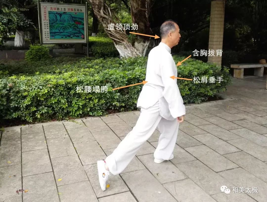 陈雄聊太极拳28定势与中间过渡动作都要含胸拔背