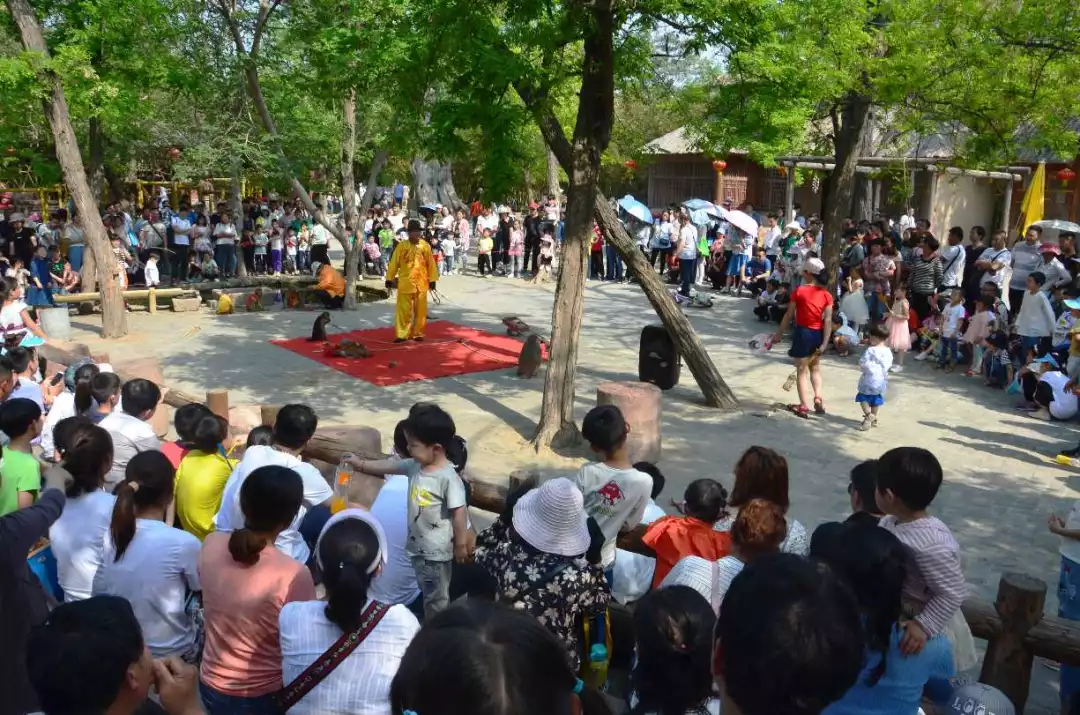 开封旅游:五一小长假,万岁山景区"人从众,火炎焱"