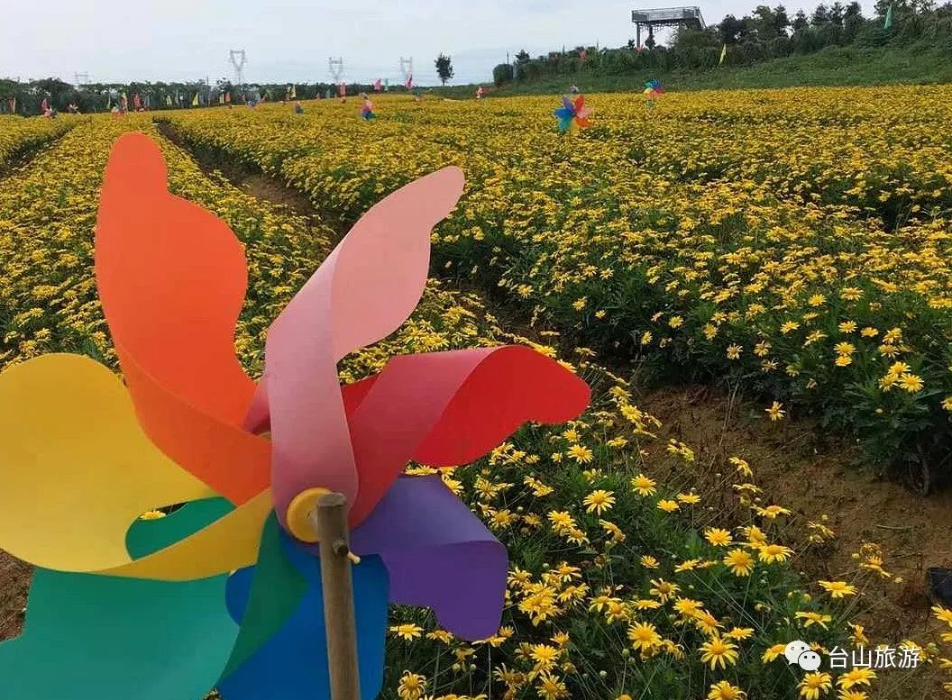 四九如意花缘,盘皇岛,台山中国农业公园等新景区,尽管还在打造当中,也