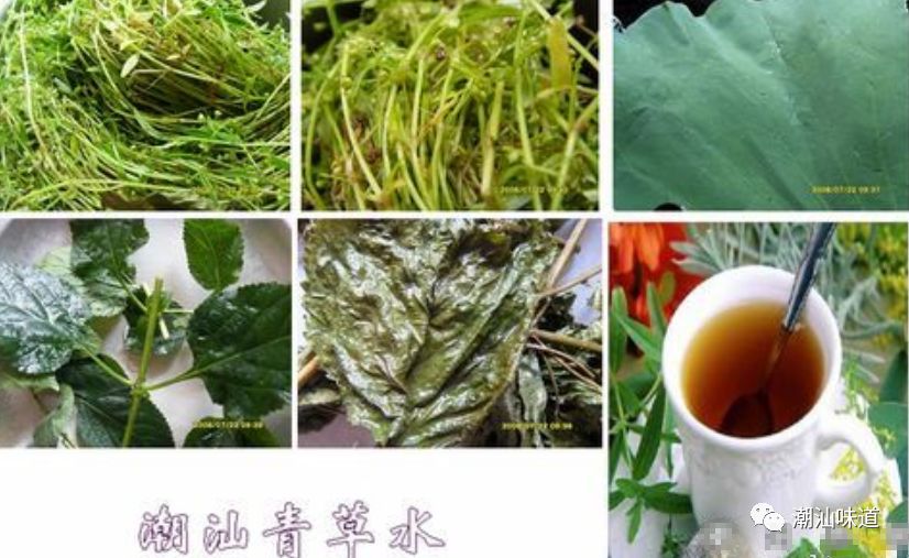 34℃高温下,来杯潮汕青草水,这些草药你懂吗?