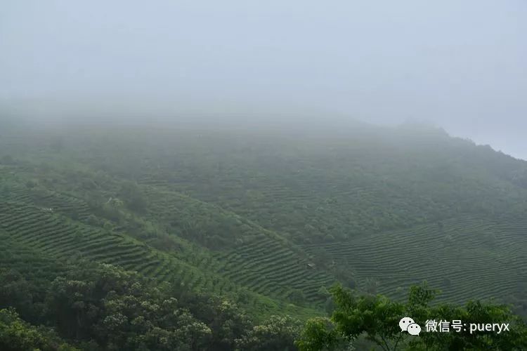 行走在茶庵鸟道上体验古普洱府普阳八景之奇美