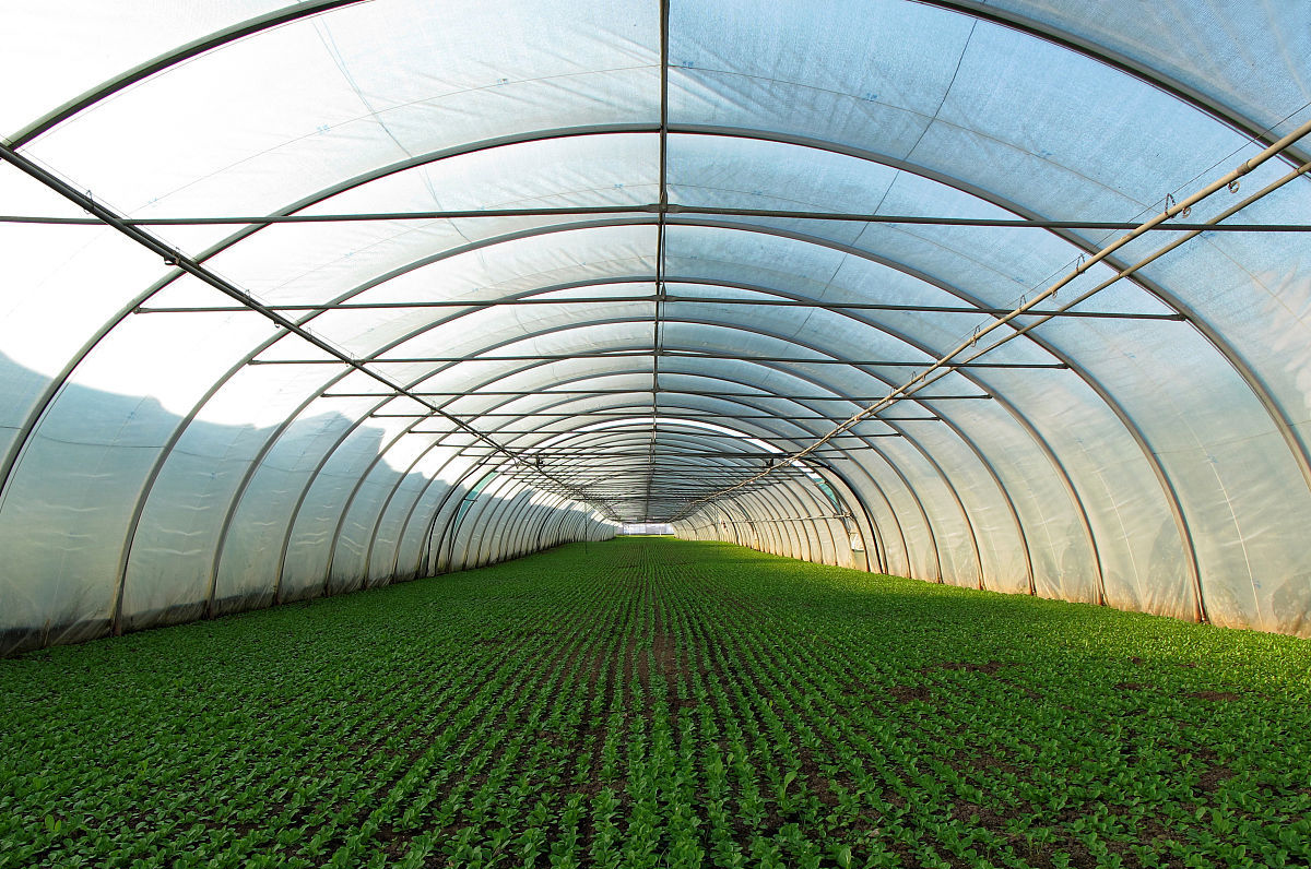 智慧农业—温室大棚