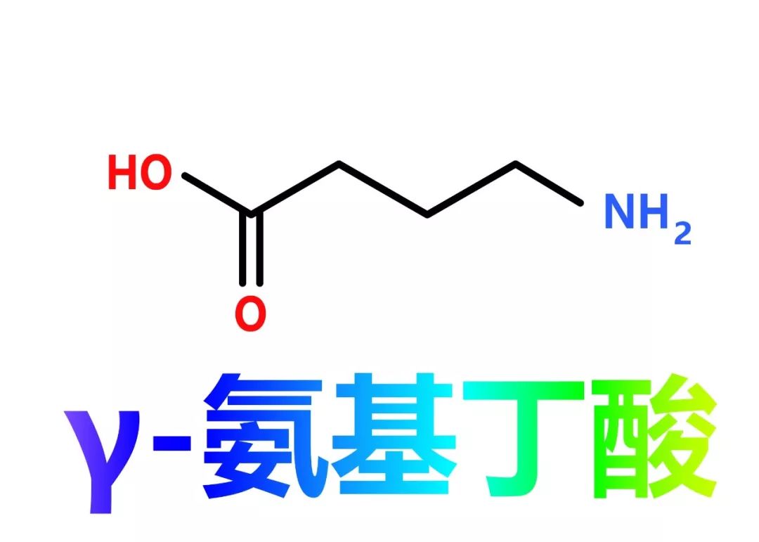 氨基酸家族27(非蛋白质氨基酸γ-氨基丁酸)