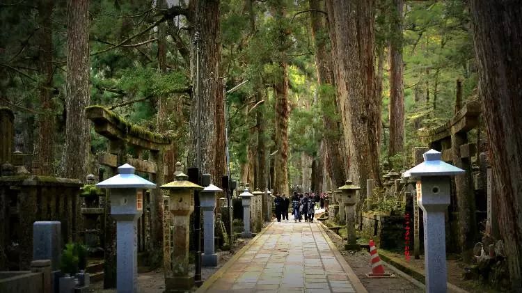 【佛旅禅行】日本京都奈良高野山巡礼