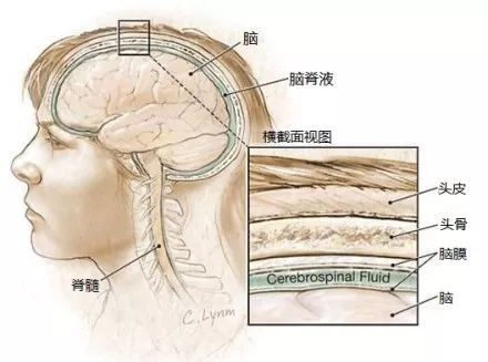 鼻子流水怎么办