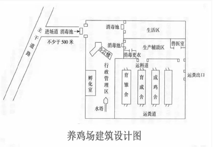 种鸡场规划需要注意哪几个点?