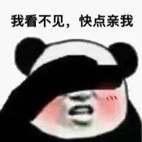 表情包:我看不见,快点亲我